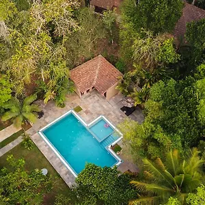  Resort Raindrops Wayanad India